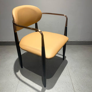 Titan Dining Chairs in Tan Color.