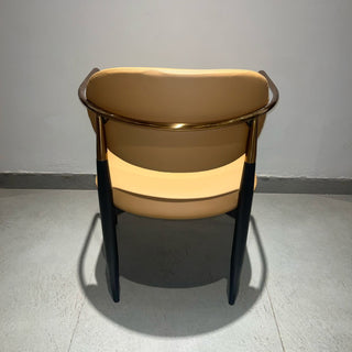 Titan Dining Chairs in Tan Color.