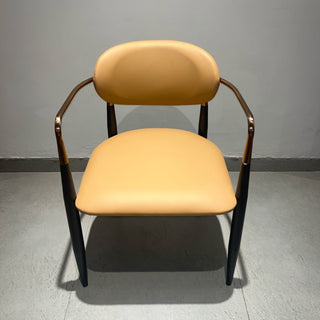 Titan Dining Chairs in Tan Color.